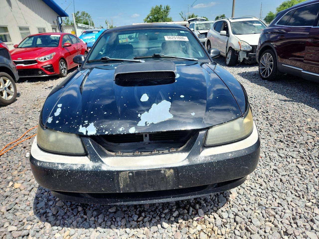 2003 Ford Mustang Black vin: 1FAFP40443F357124