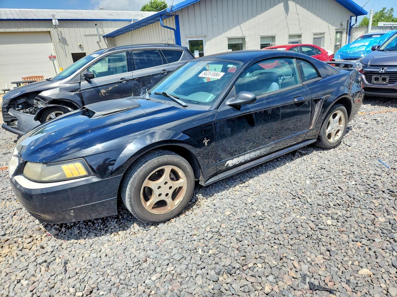 2003 Ford Mustang Black vin: 1FAFP40443F357124