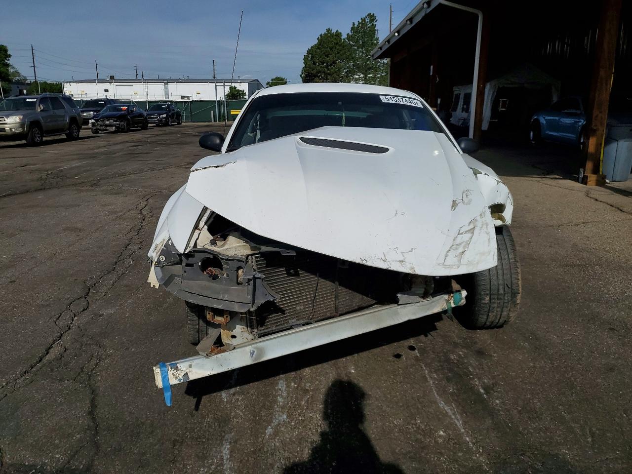 1999 Ford Mustang White vin: 1FAFP4044XF198840