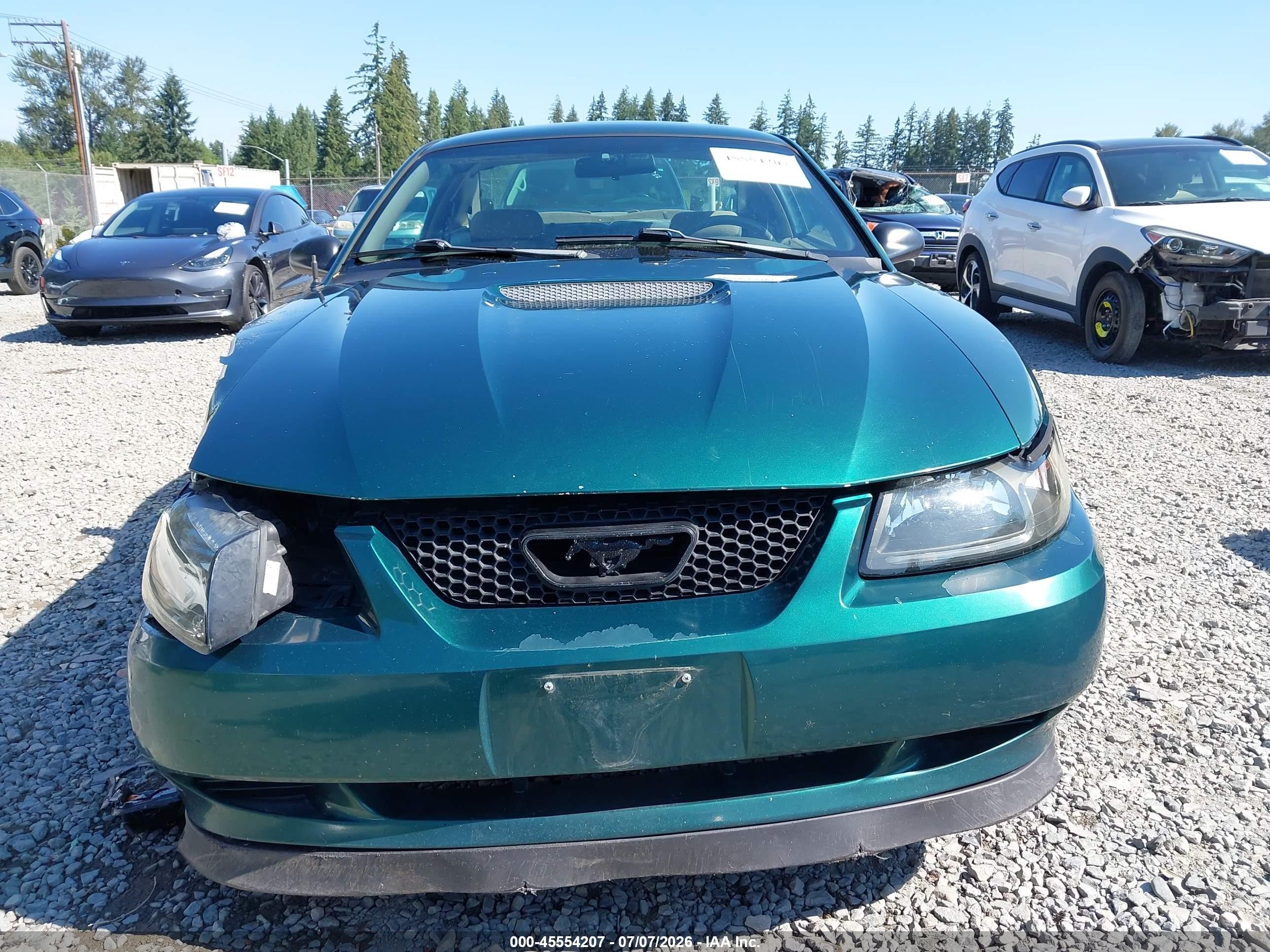 2002 Ford Mustang Deluxe/premium/standard Green vin: 1FAFP40452F140776