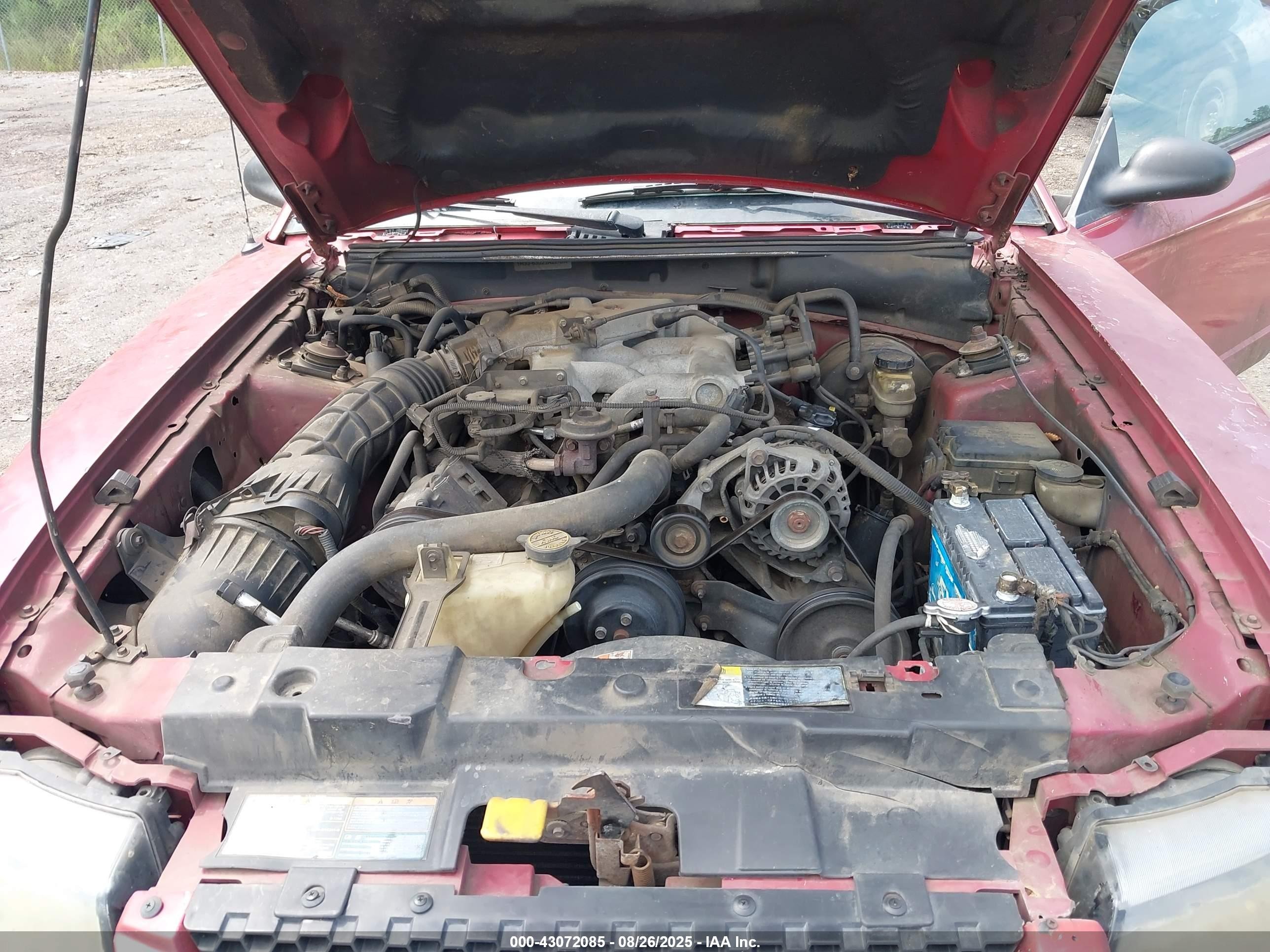2002 Ford Mustang   Maroon vin: 1FAFP40452F206744