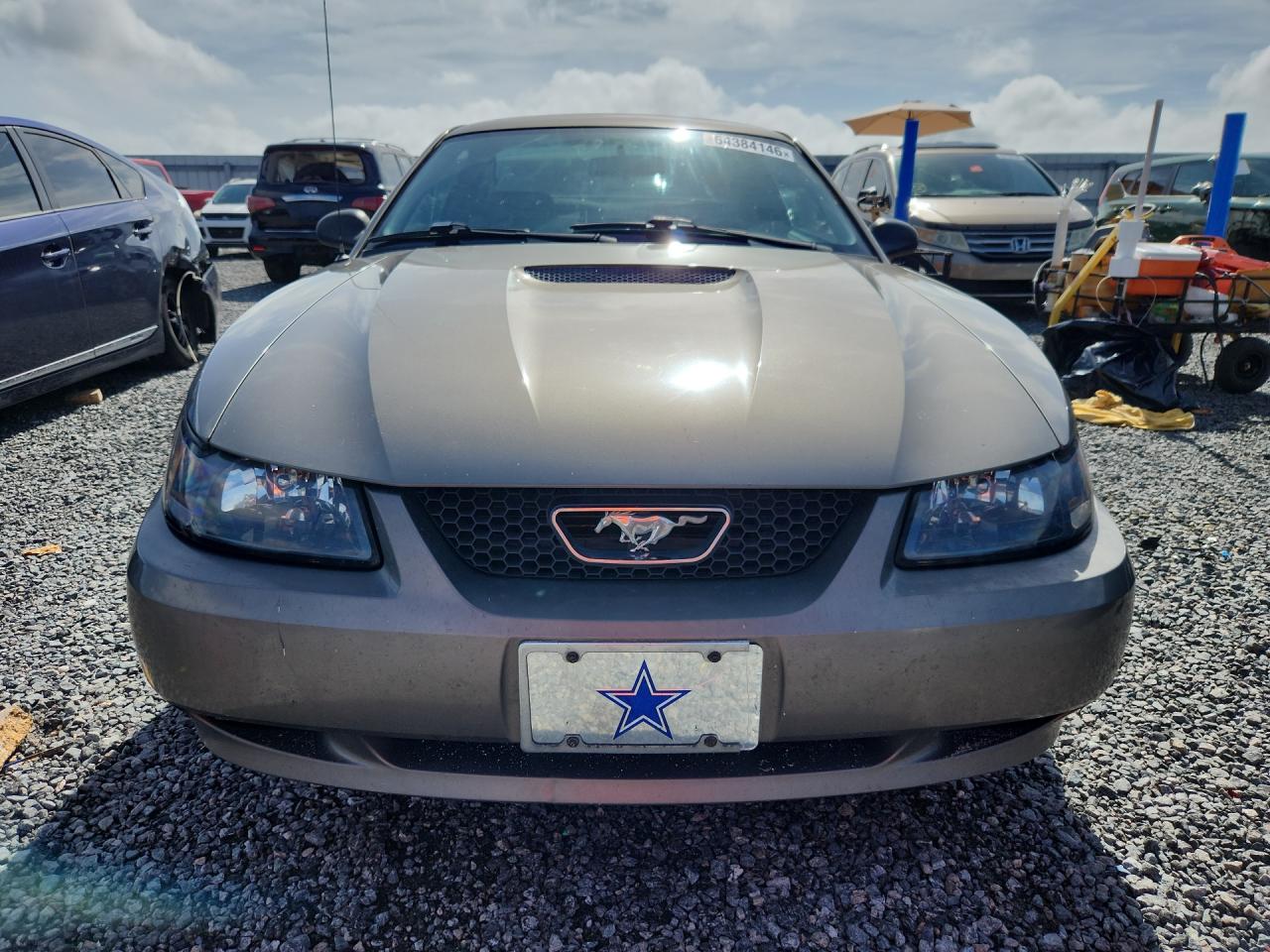 2001 Ford Mustang Gray vin: 1FAFP40461F260603