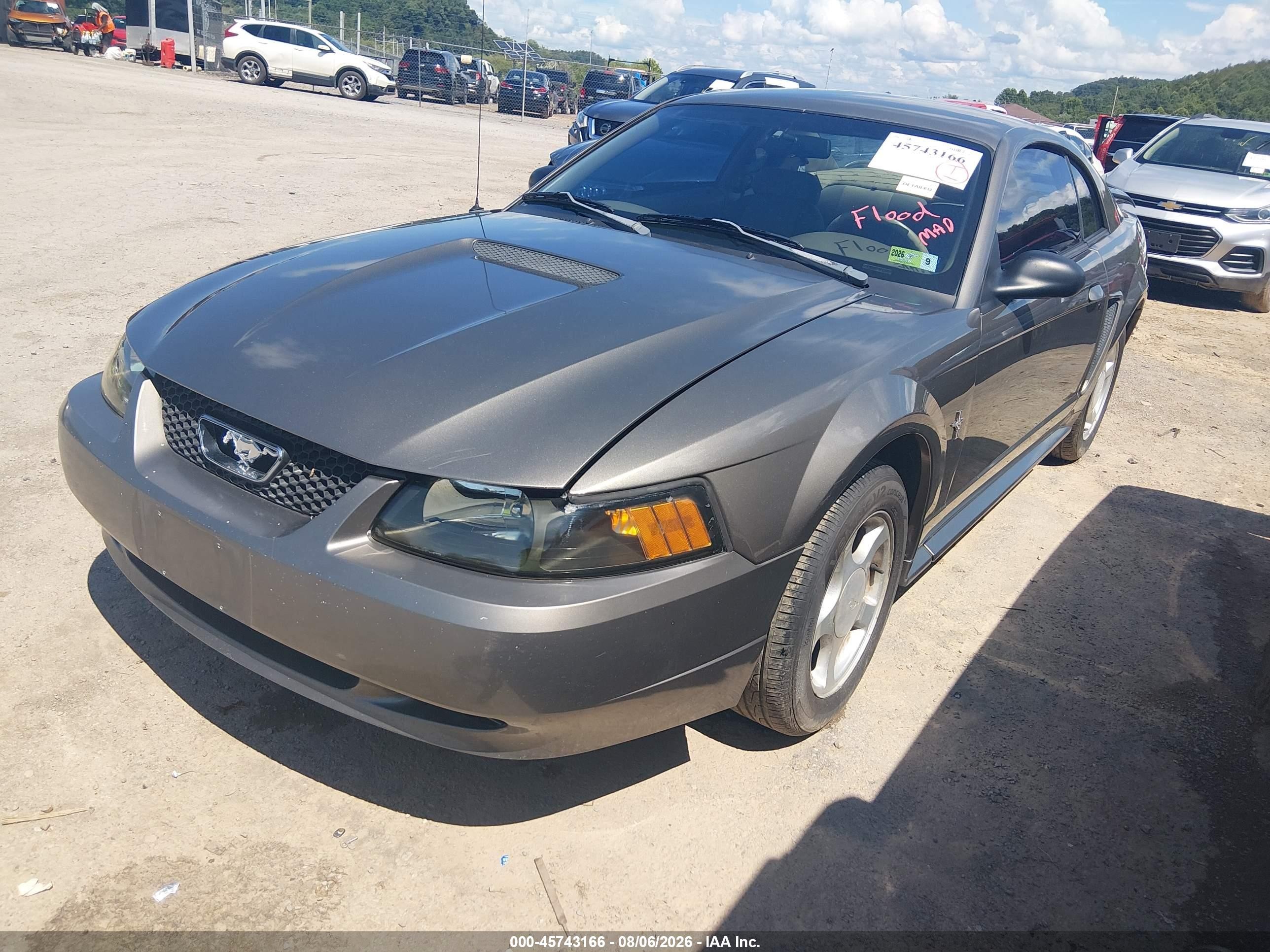 2002 Ford Mustang   Gray vin: 1FAFP40462F165993