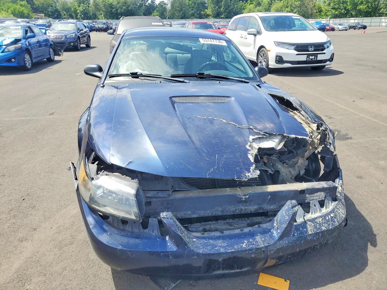 2001 Ford Mustang Blue vin: 1FAFP40471F103808