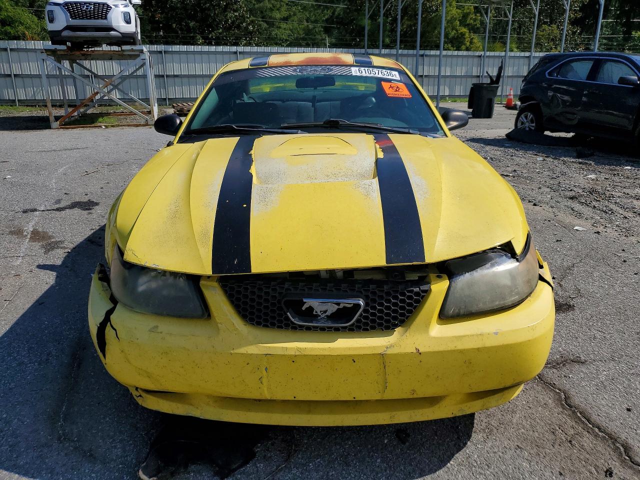 2003 Ford Mustang Yellow vin: 1FAFP40473F439350