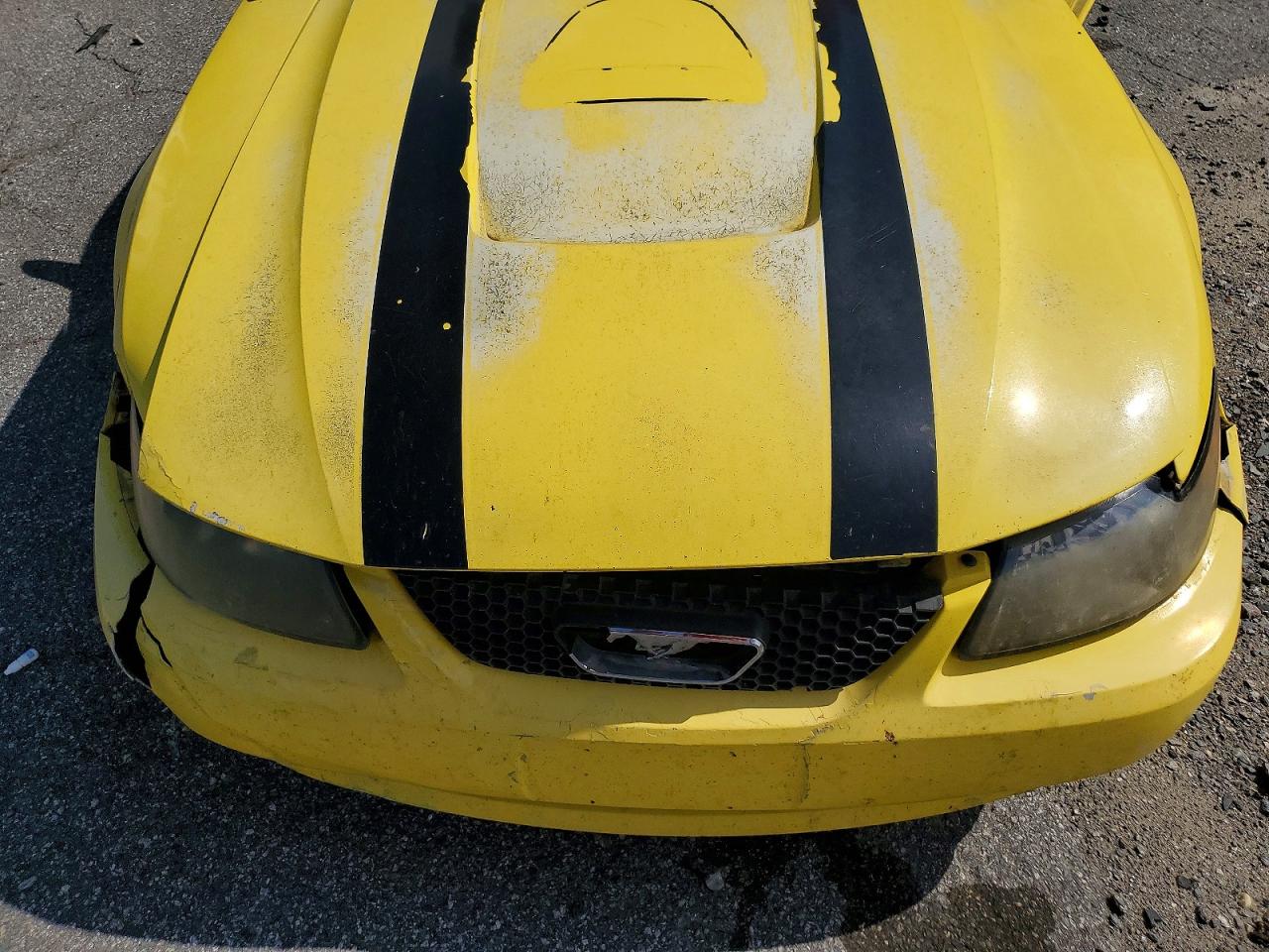 2003 Ford Mustang Yellow vin: 1FAFP40473F439350