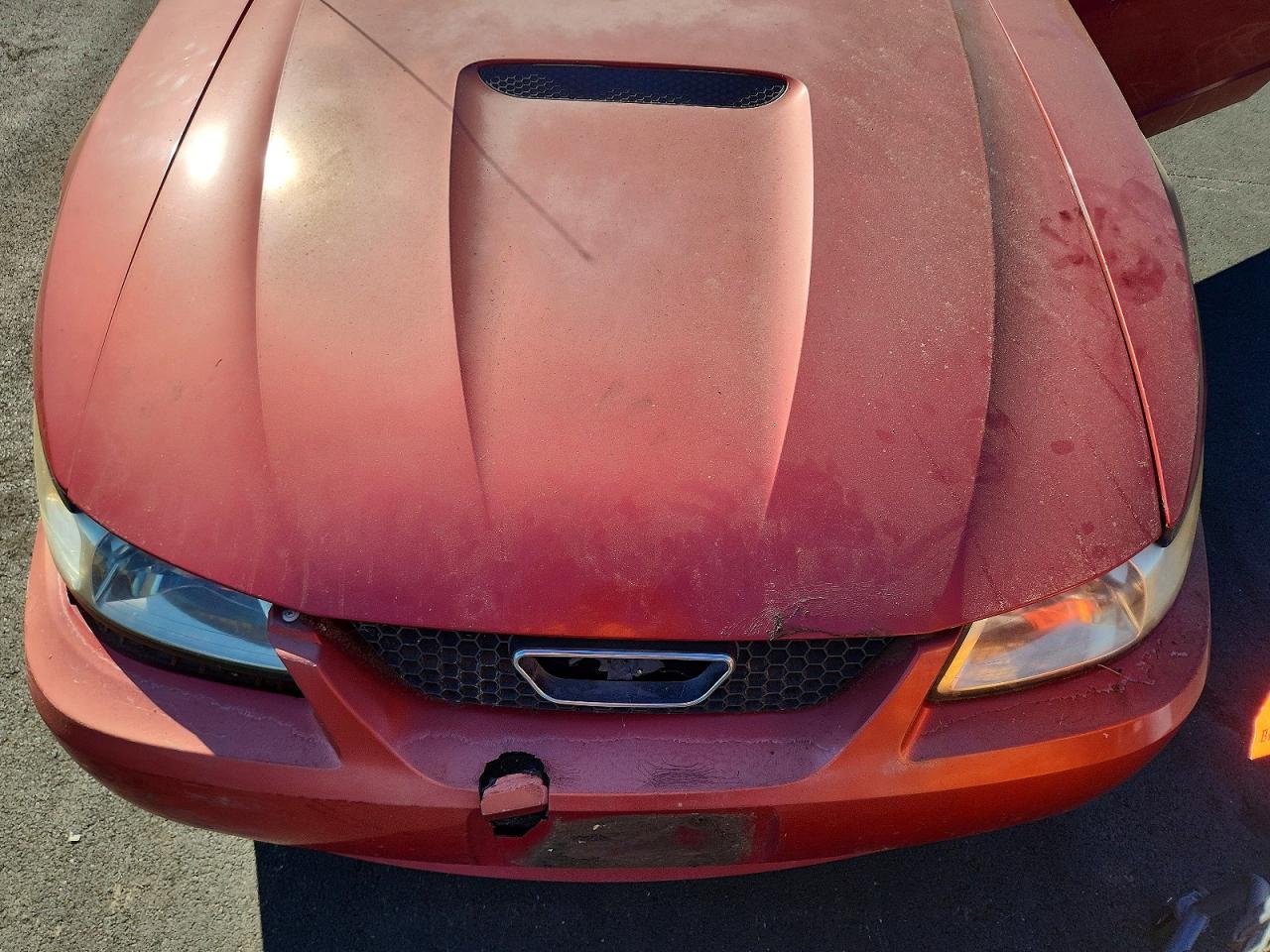 1999 Ford Mustang Red vin: 1FAFP4047XF136378