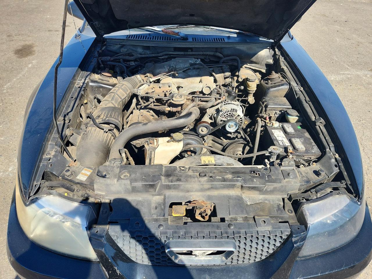 2000 Ford Mustang Black vin: 1FAFP4047YF123843
