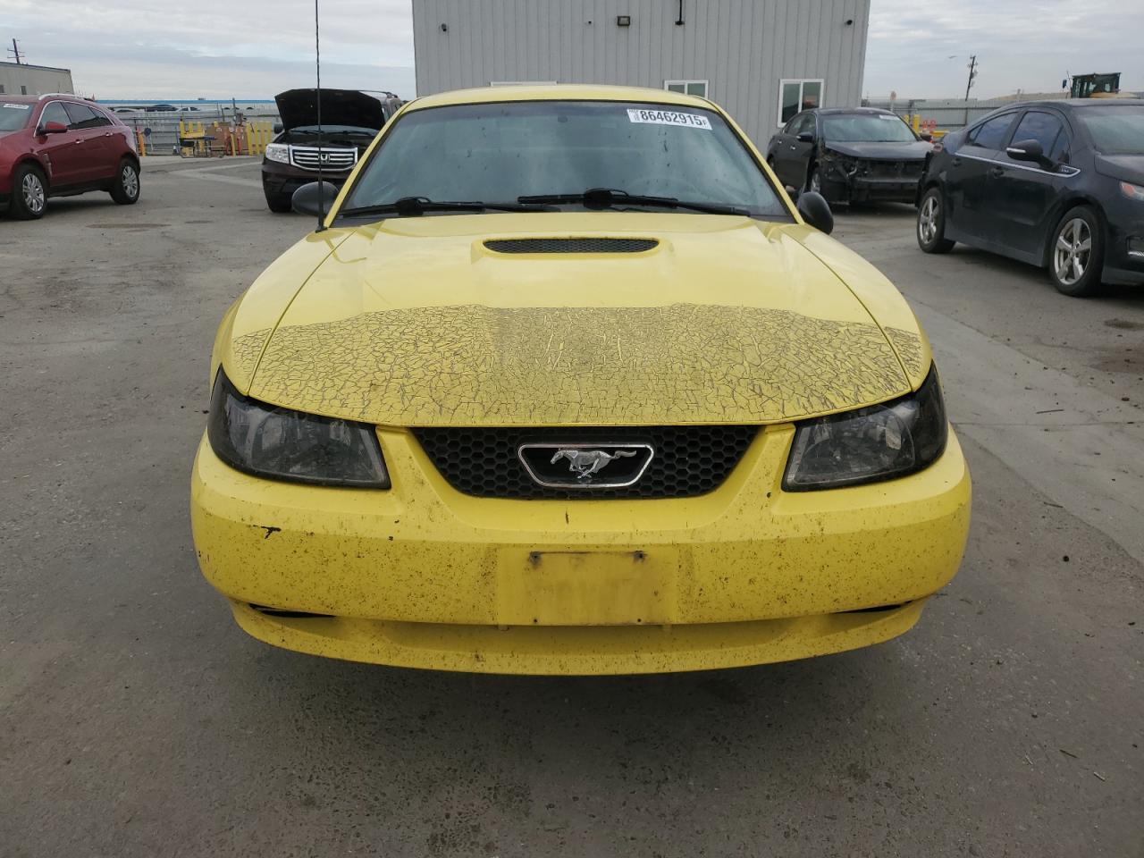 2001 Ford Mustang Желтый vin: 1FAFP40481F199139