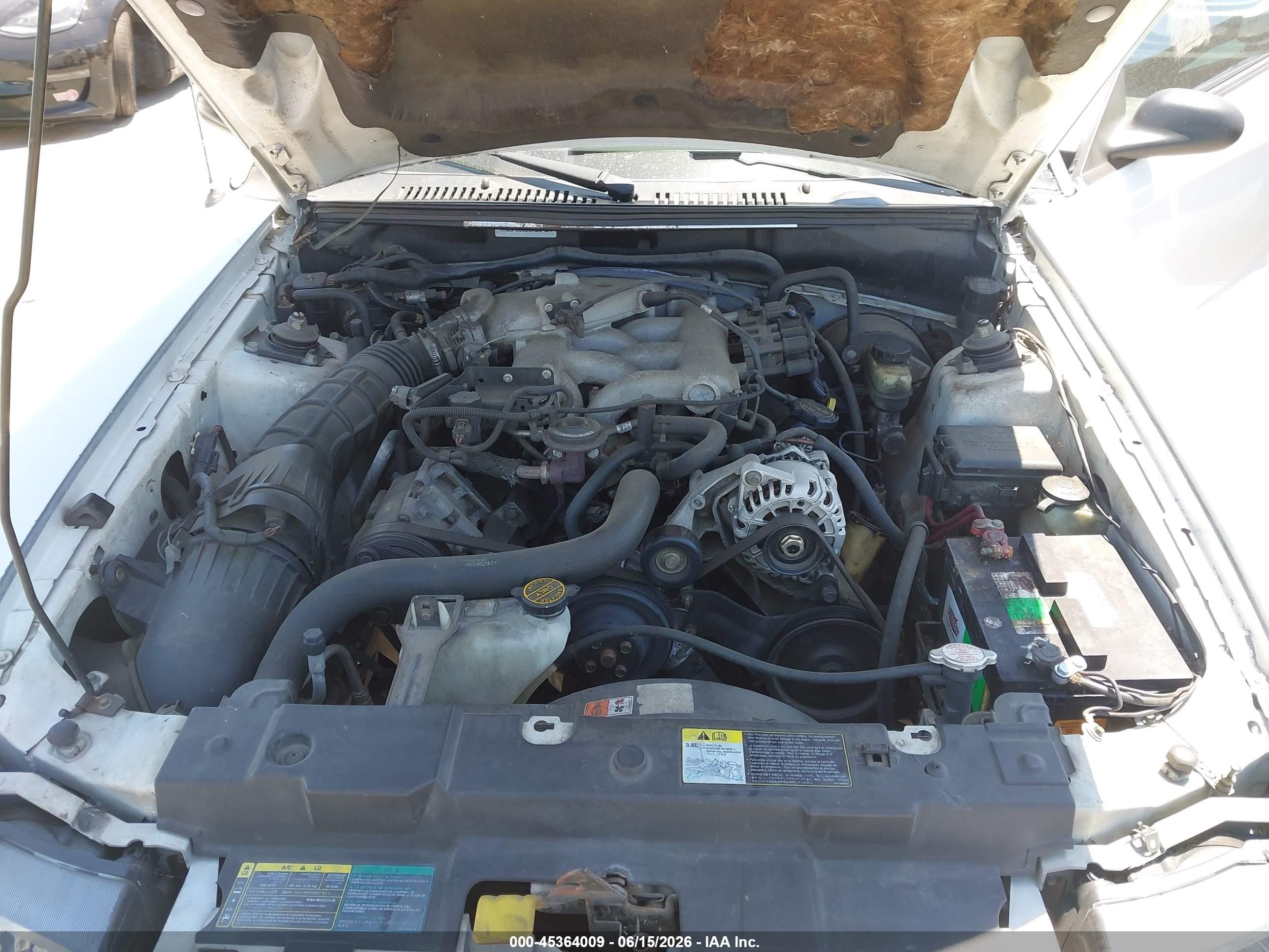 2003 Ford Mustang   Белый vin: 1FAFP40483F308363