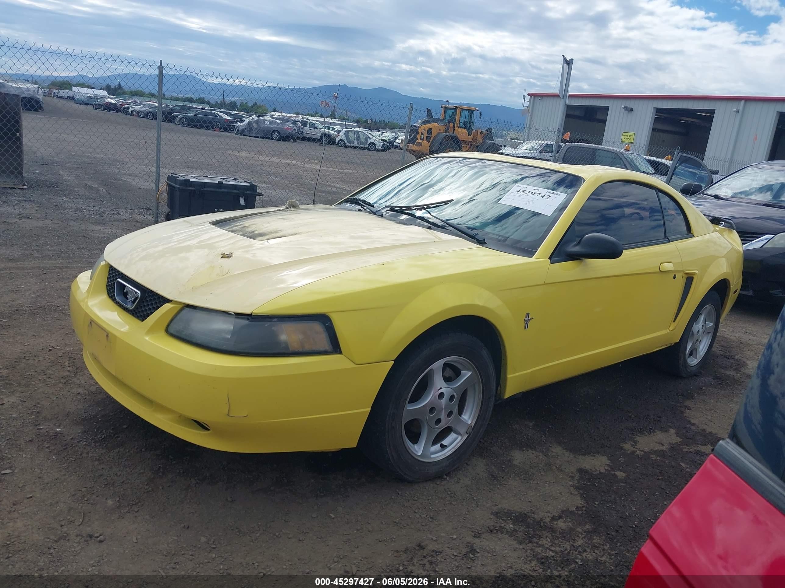 2003 Ford Mustang   Yellow vin: 1FAFP40483F324885
