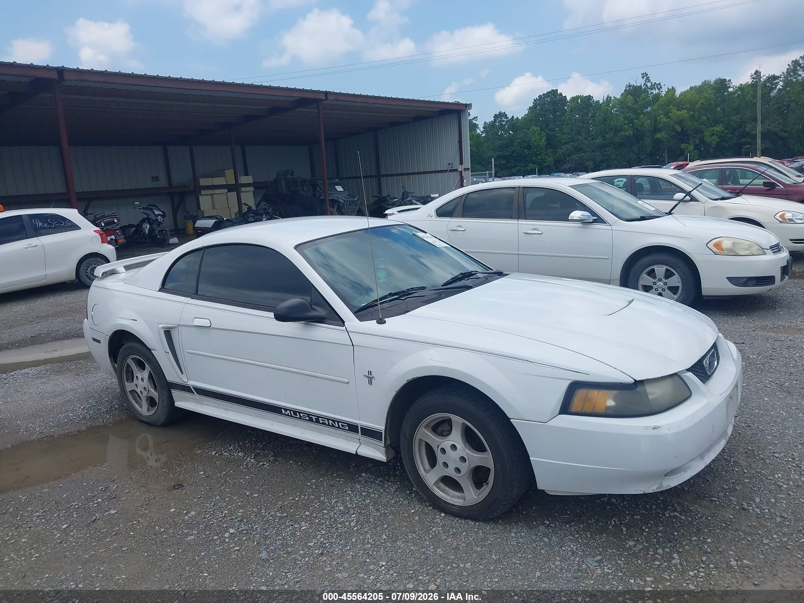 2003 Ford Mustang   White vin: 1FAFP40483F362469