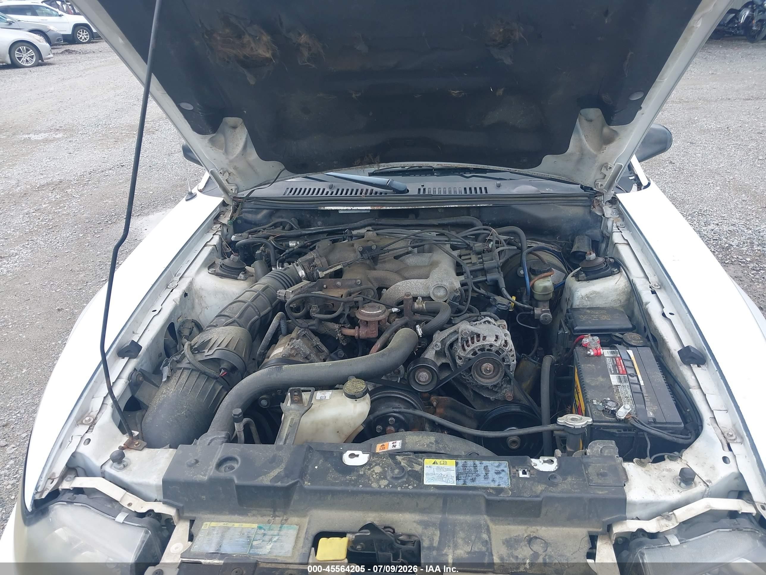2003 Ford Mustang   White vin: 1FAFP40483F362469