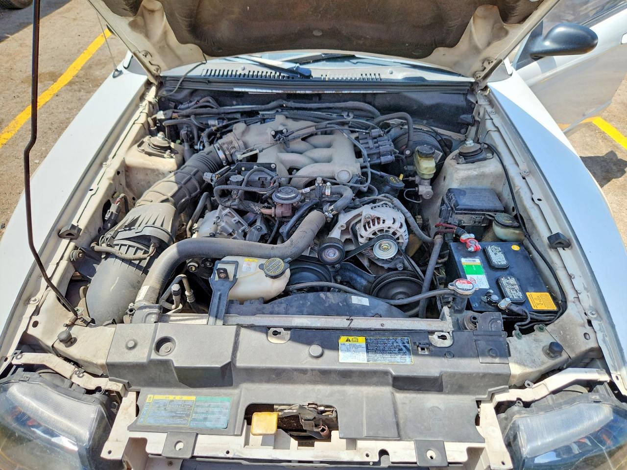 2003 Ford Mustang White vin: 1FAFP40483F363749