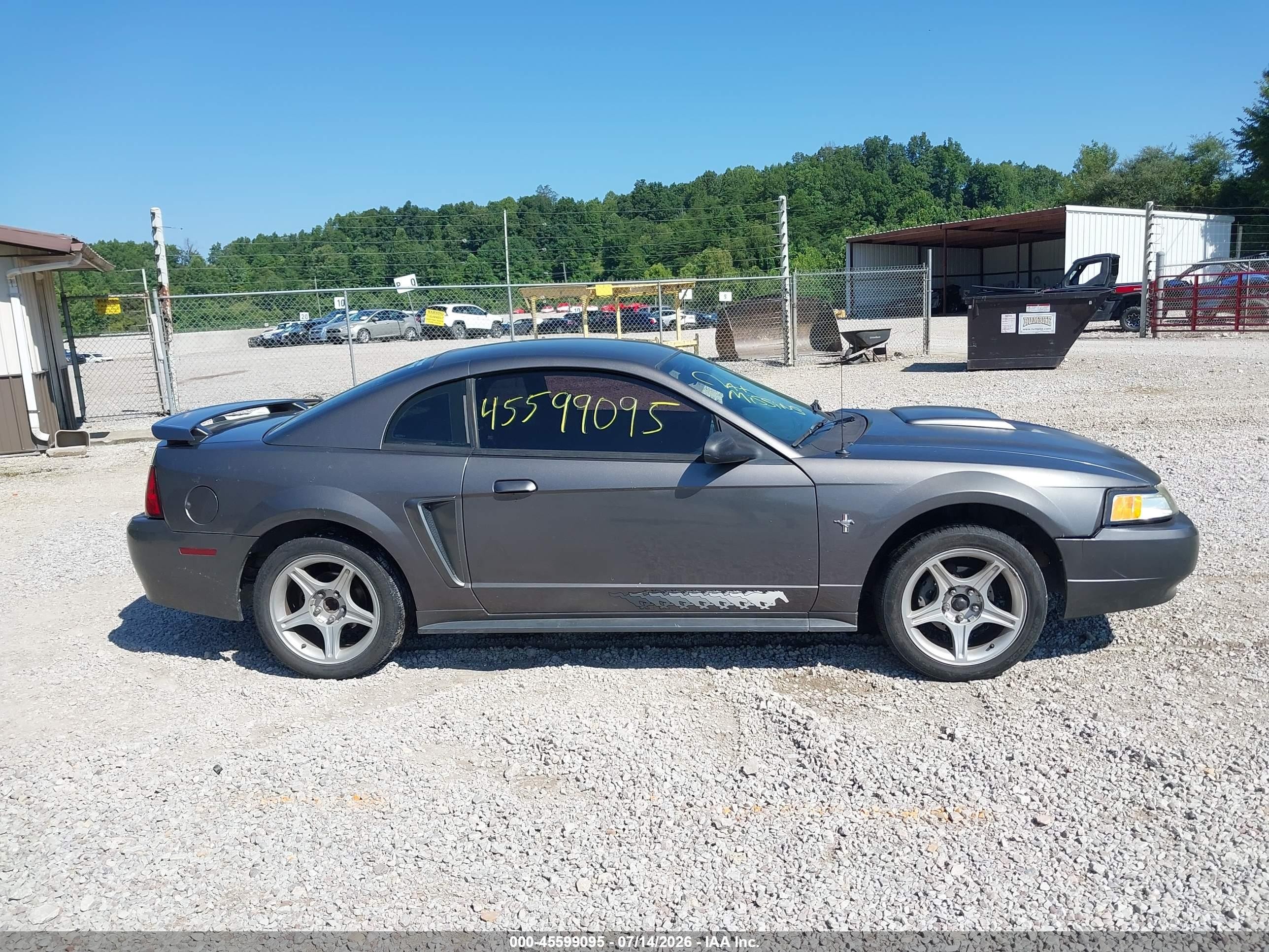 2003 Ford Mustang   Gray vin: 1FAFP40483F420659