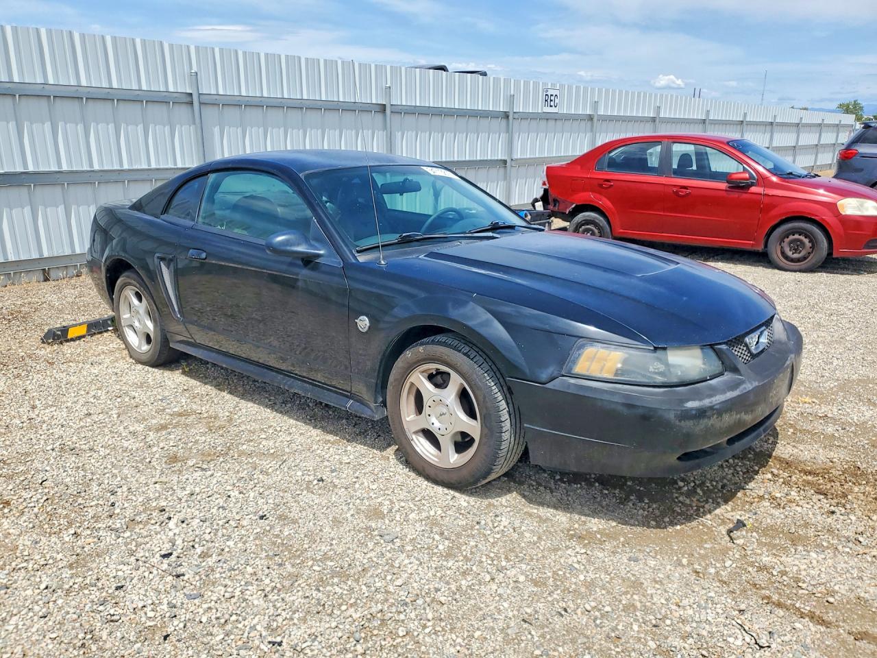 2004 Ford Mustang Black vin: 1FAFP40484F102588