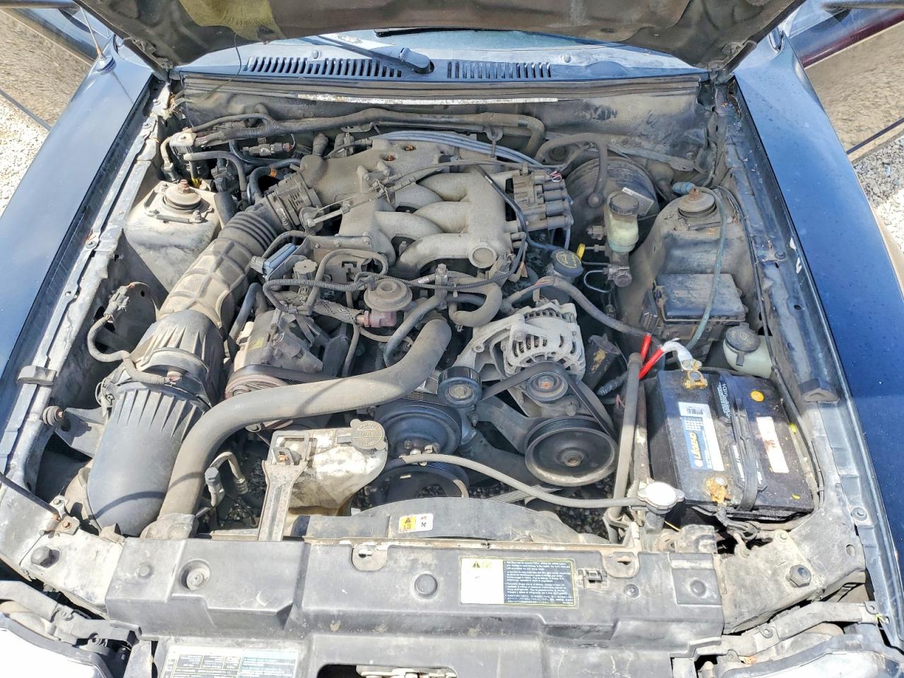 2004 Ford Mustang Black vin: 1FAFP40484F102588