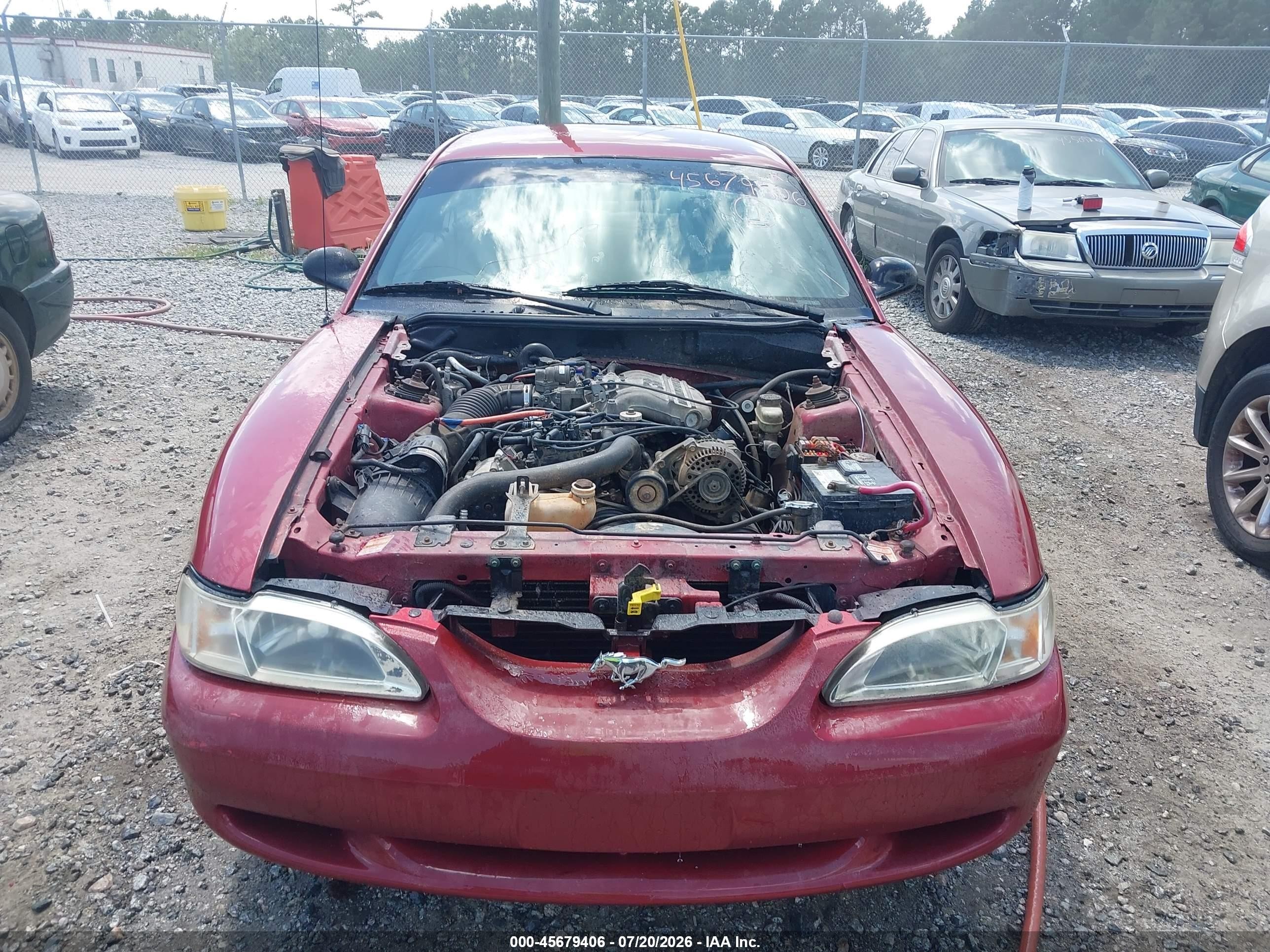 1998 Ford Mustang   Red vin: 1FAFP4048WF121127
