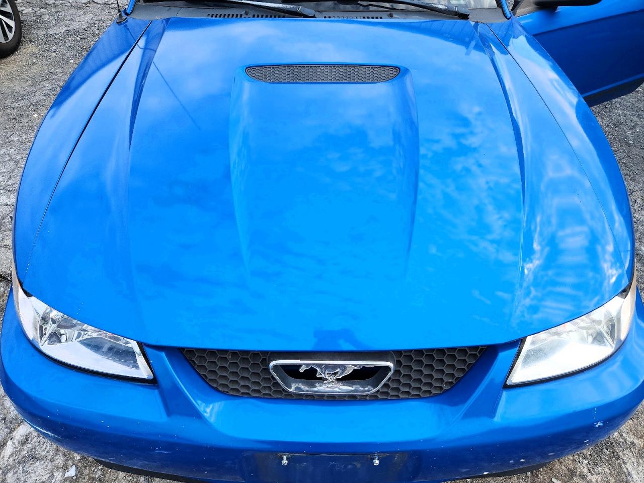 2000 Ford Mustang Blue vin: 1FAFP4048YF191312