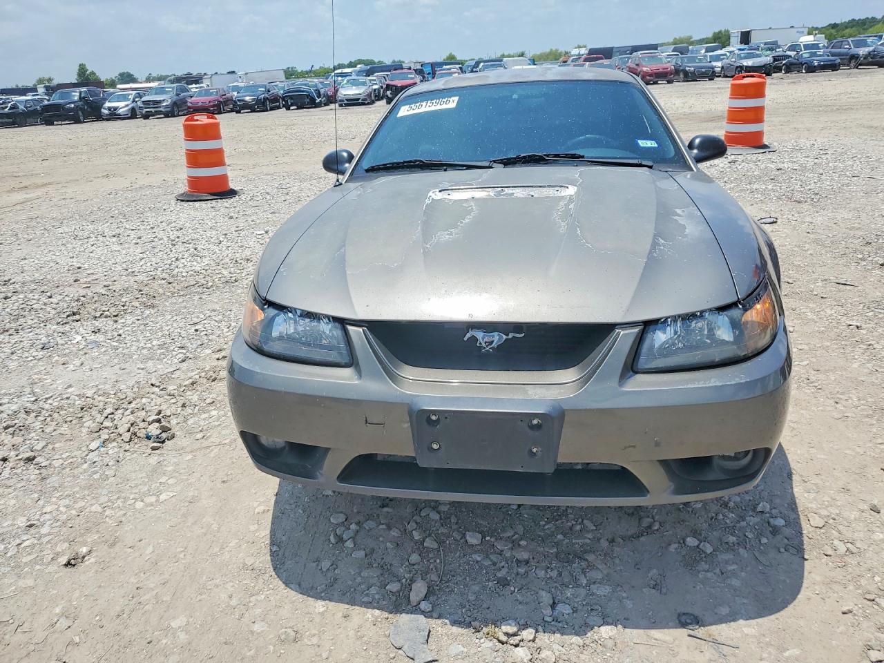 2001 Ford Mustang Gray vin: 1FAFP40491F240412