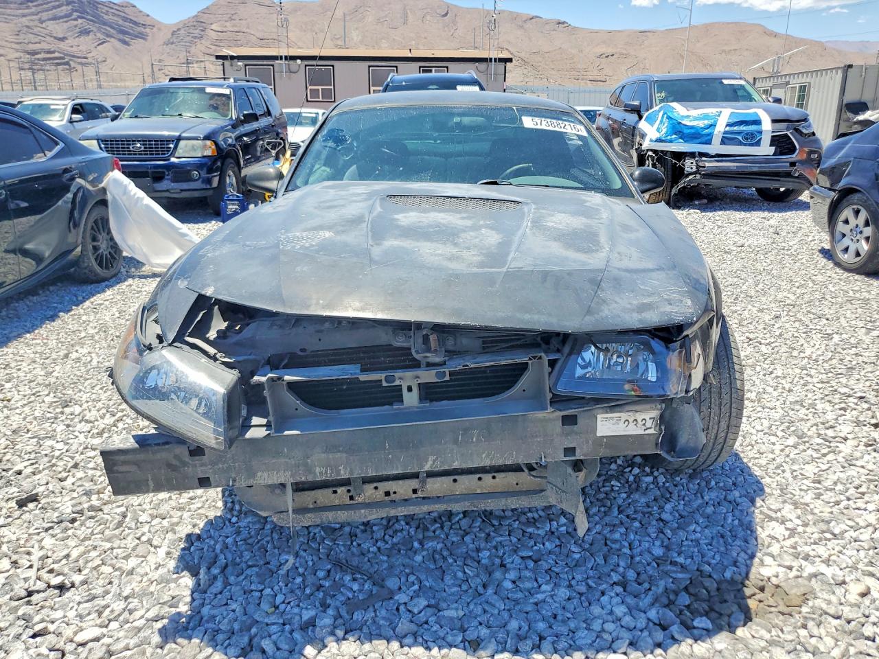 2002 Ford Mustang Black vin: 1FAFP40492F102449