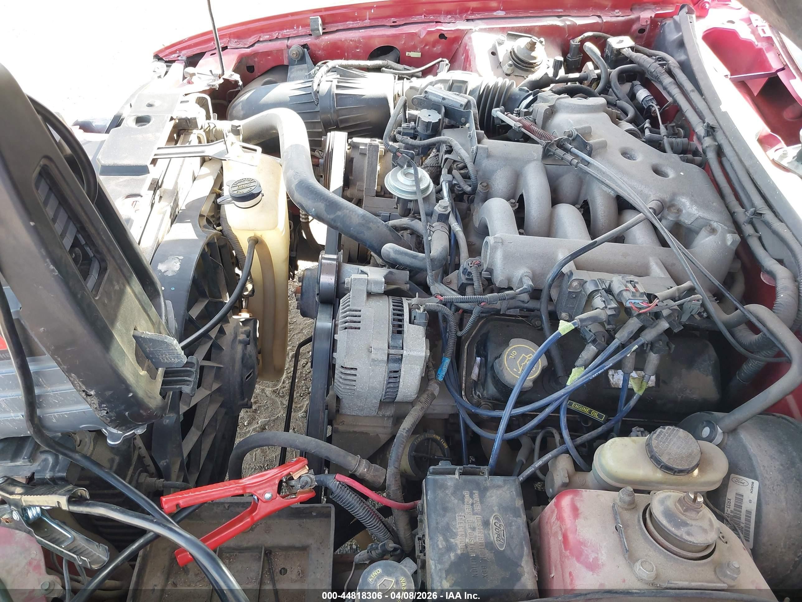 1999 Ford Mustang Красный vin: 1FAFP4049XF145471