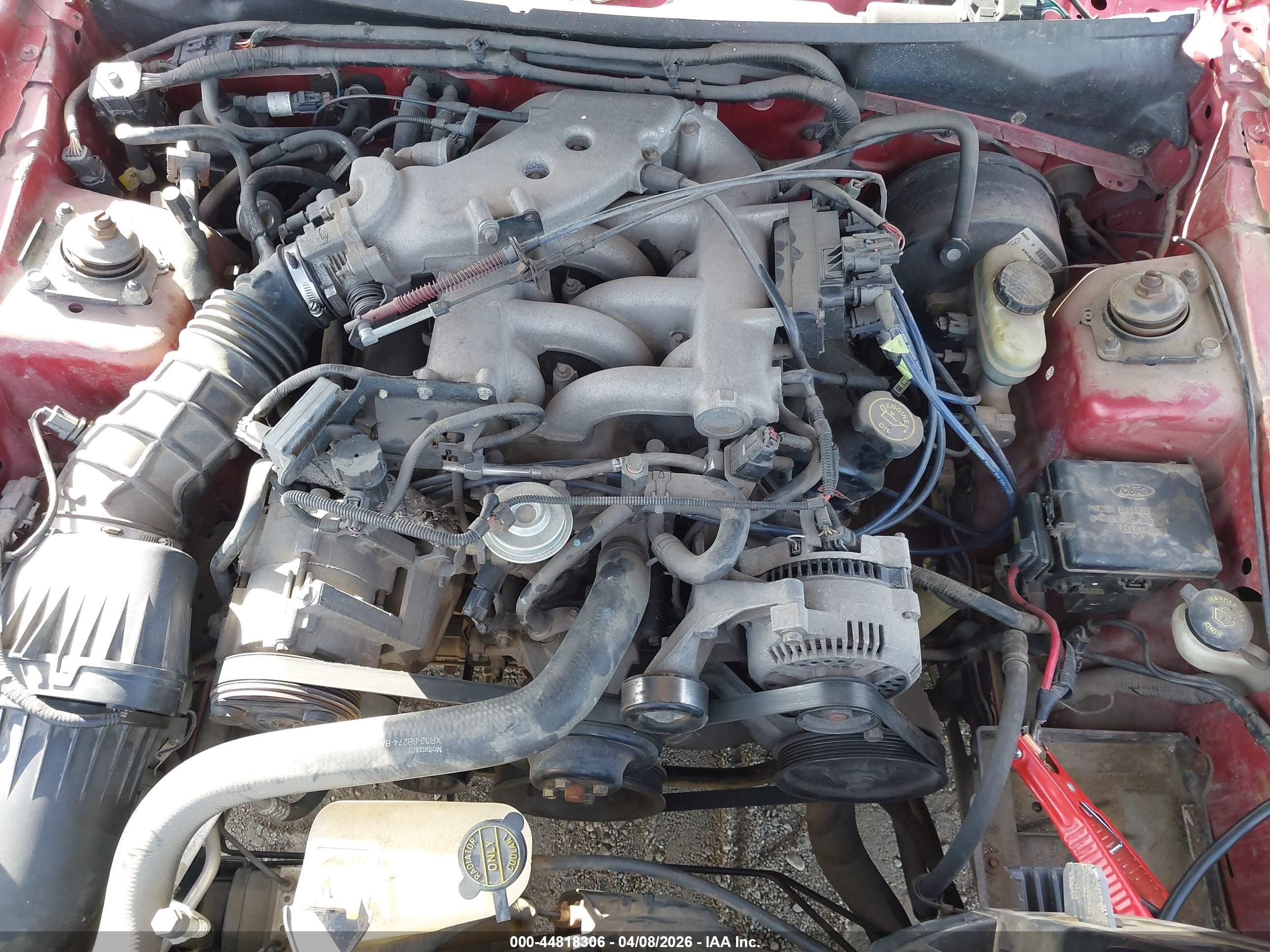 1999 Ford Mustang Красный vin: 1FAFP4049XF145471