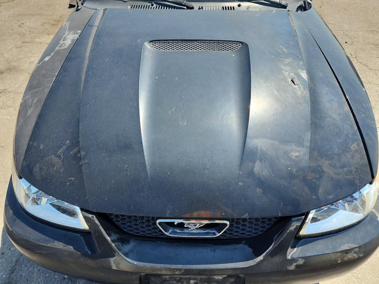 1999 Ford Mustang Black vin: 1FAFP4049XF160911