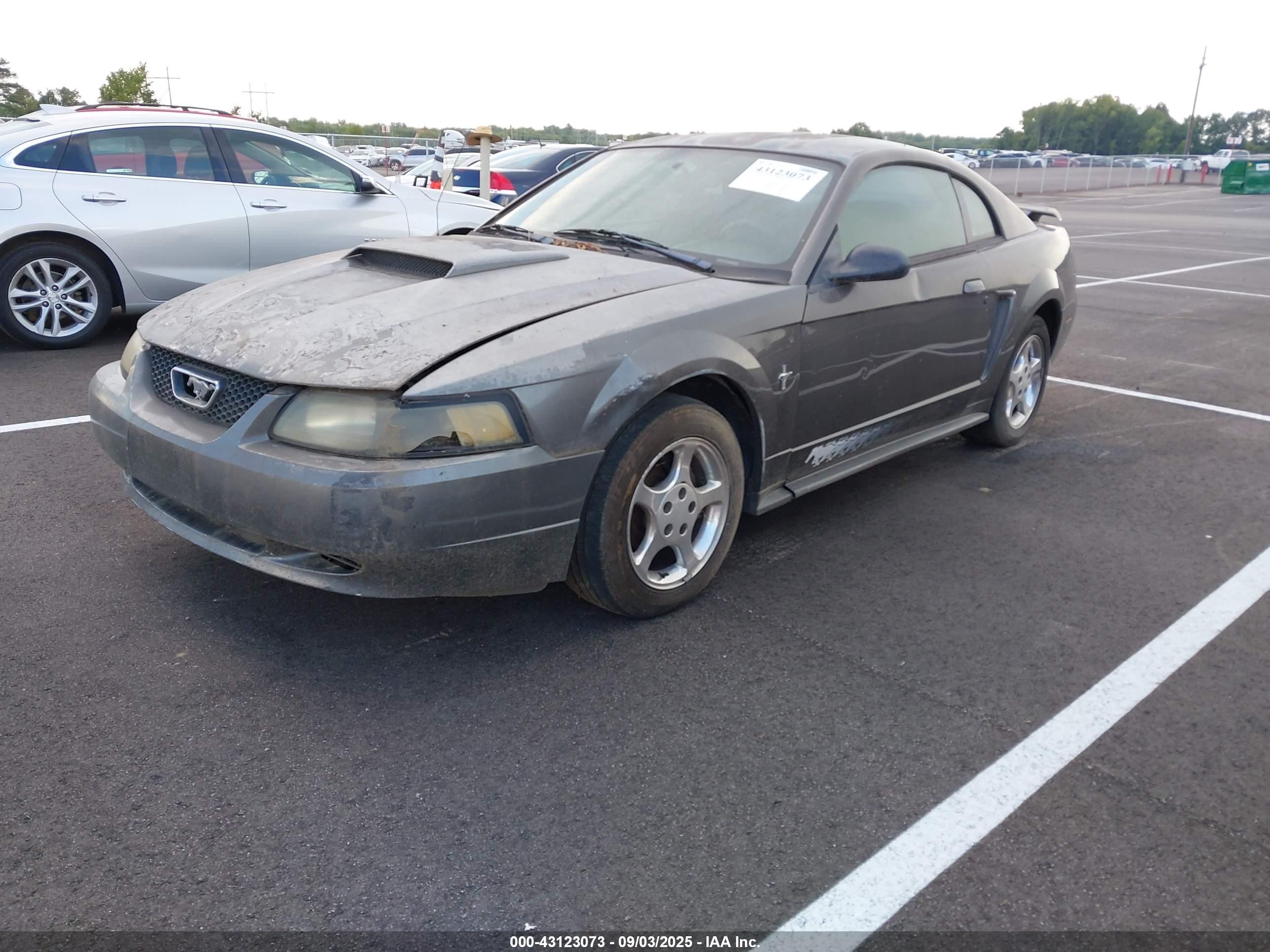 2003 Ford Mustang   Серый vin: 1FAFP404X3F350467
