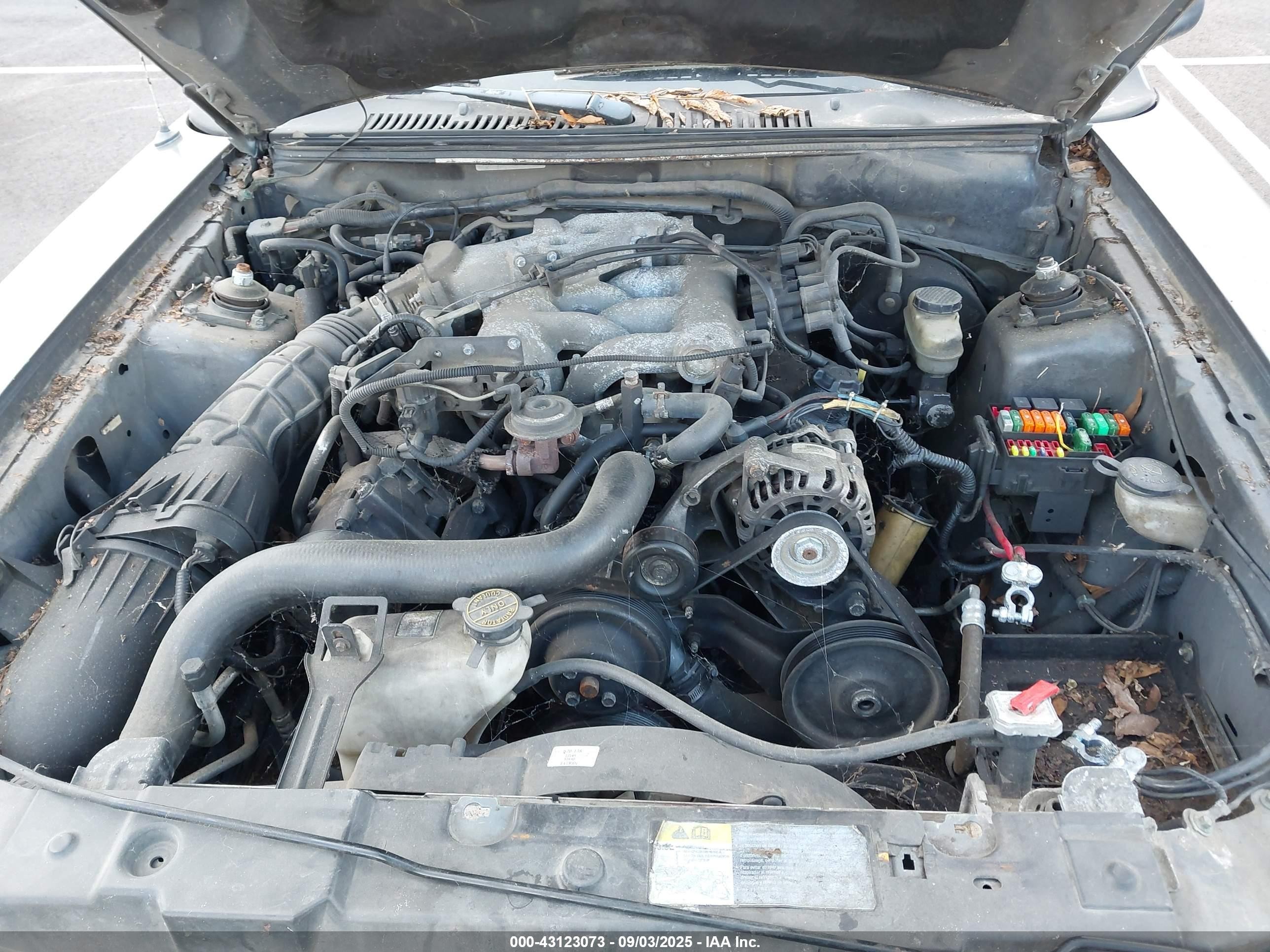 2003 Ford Mustang   Серый vin: 1FAFP404X3F350467
