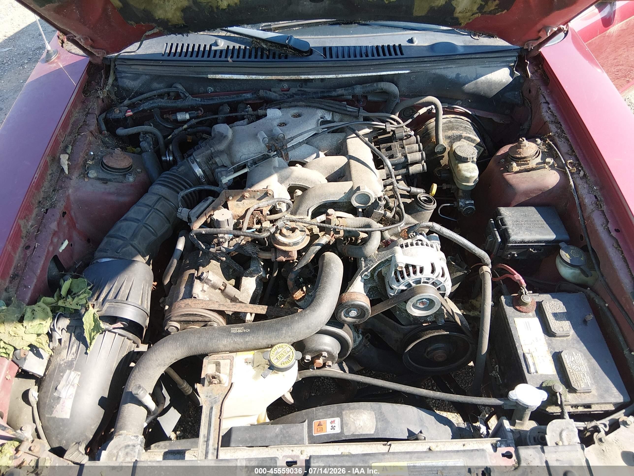 2003 Ford Mustang   Red vin: 1FAFP404X3F415964