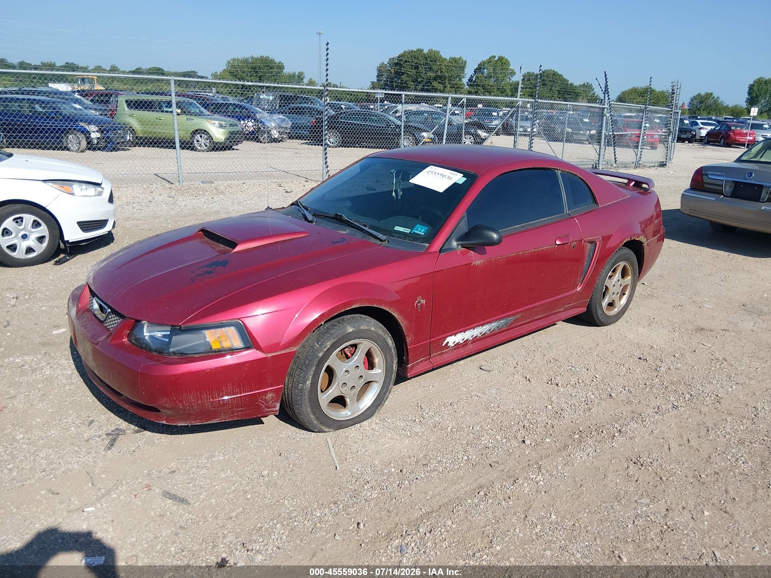 2003 Ford Mustang   Red vin: 1FAFP404X3F415964