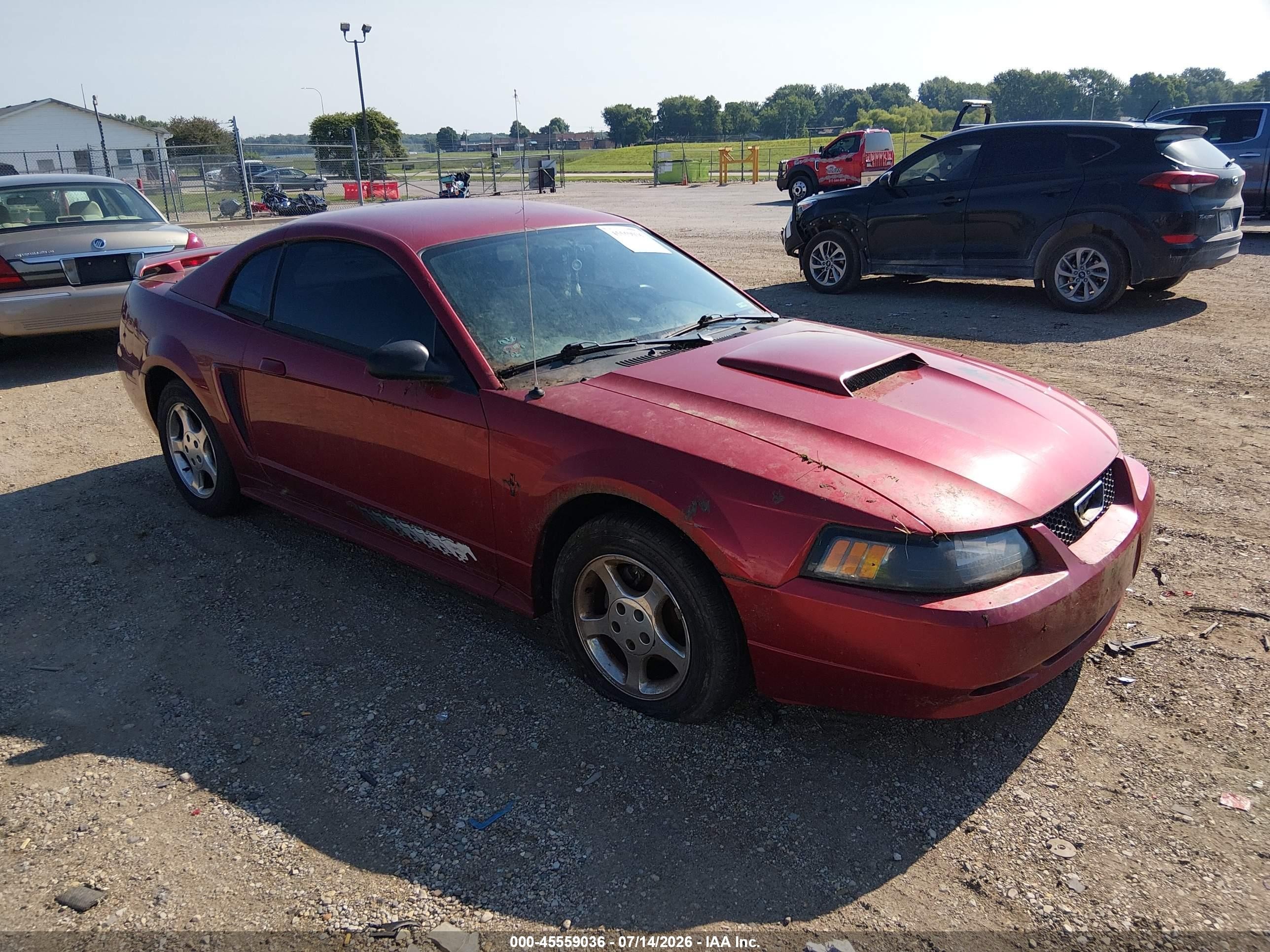 2003 Ford Mustang   Red vin: 1FAFP404X3F415964