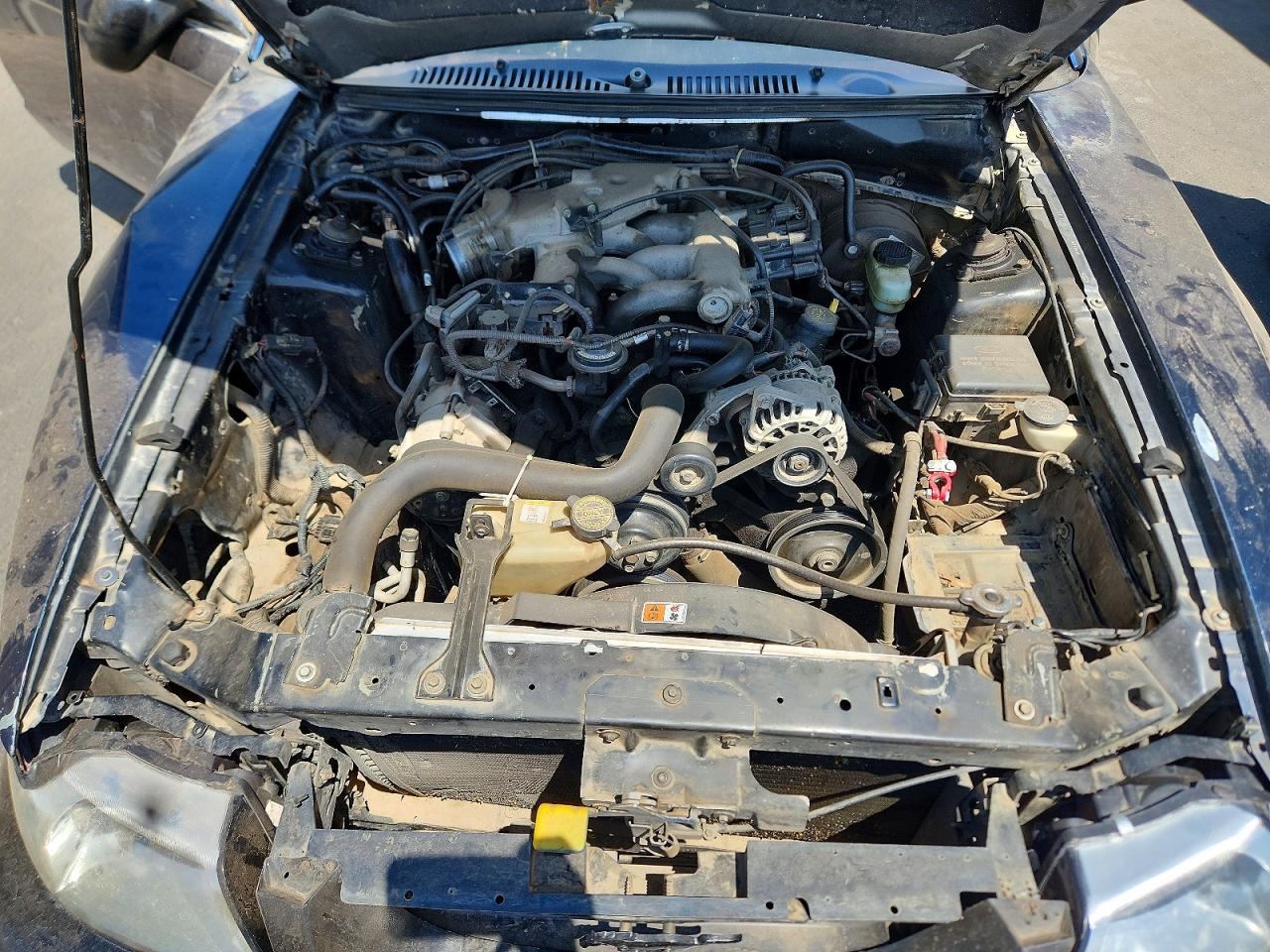 2003 Ford Mustang Blue vin: 1FAFP404X3F444560