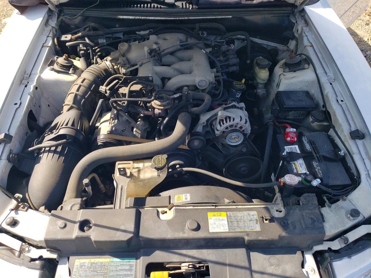 2004 Ford Mustang Base White vin: 1FAFP40614F145848