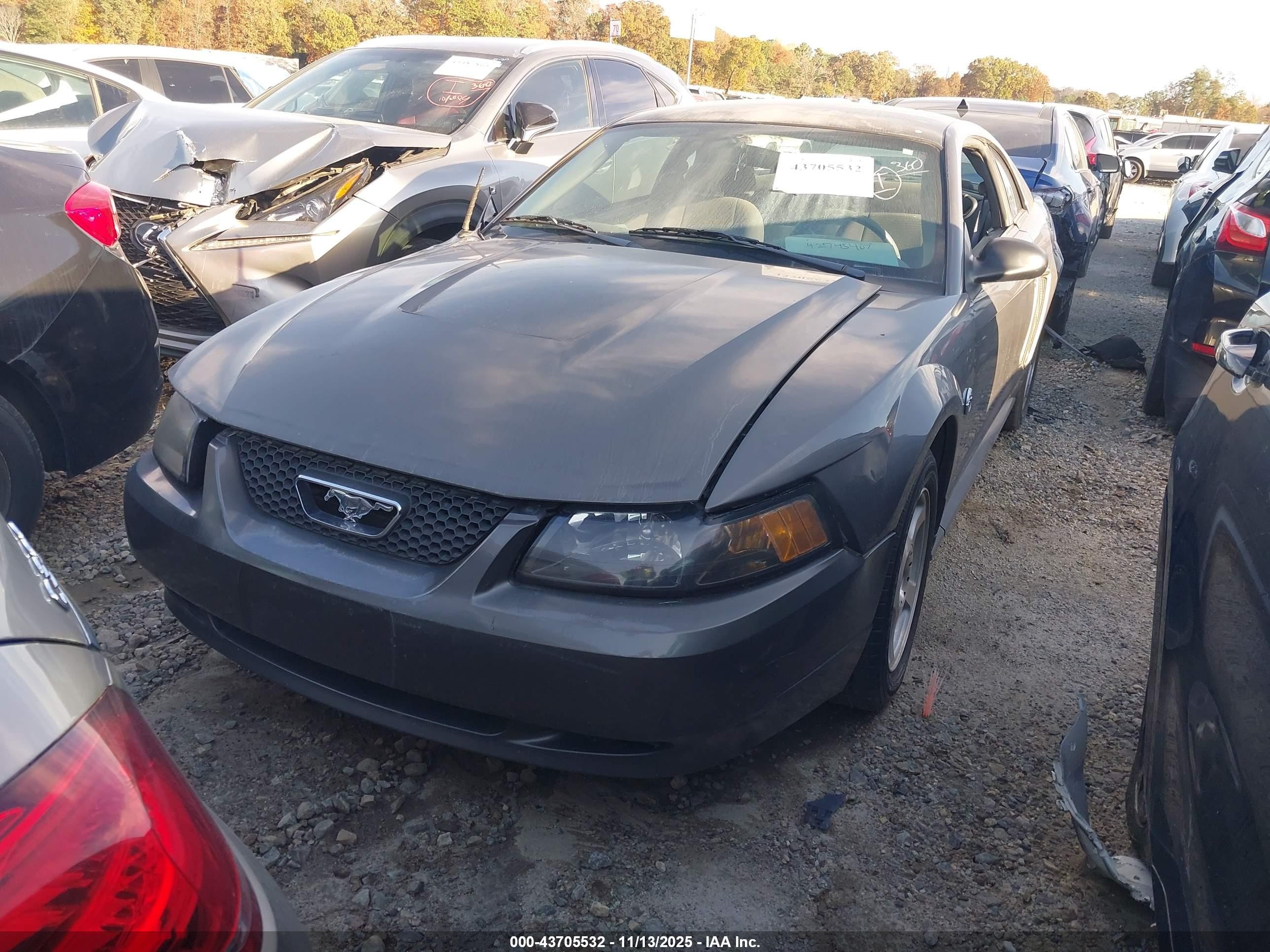 2004 Ford Mustang   Gray vin: 1FAFP40624F161301
