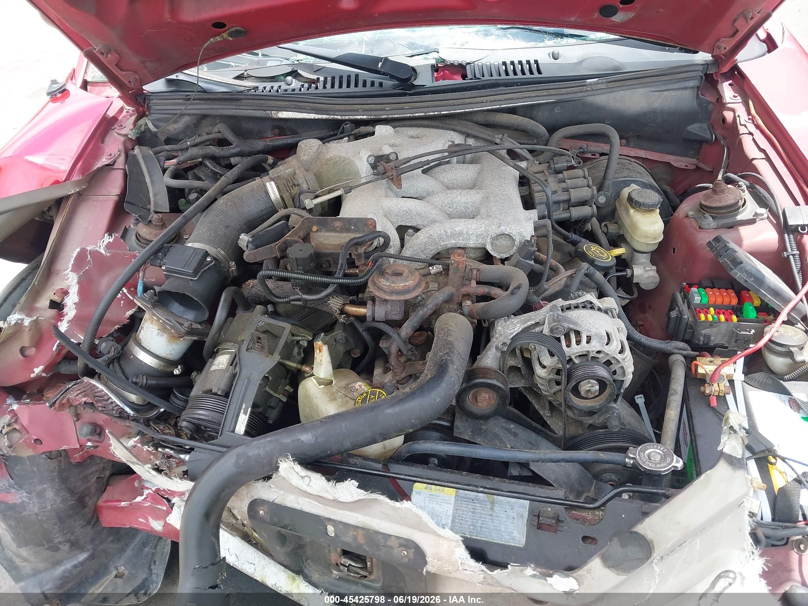 2004 Ford Mustang   Red vin: 1FAFP40624F167874