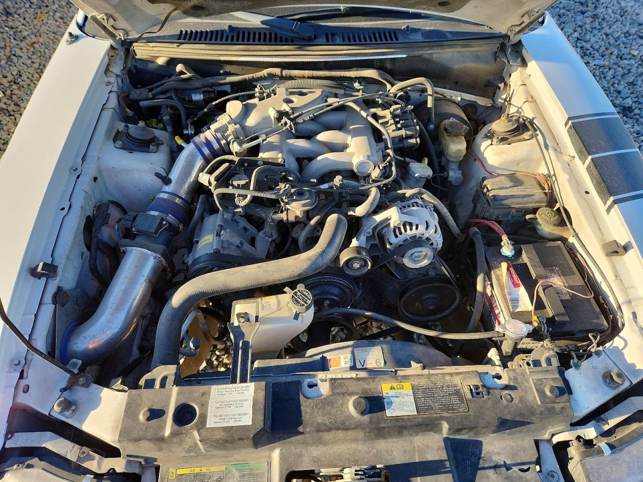 2004 Ford Mustang White vin: 1FAFP40624F197926