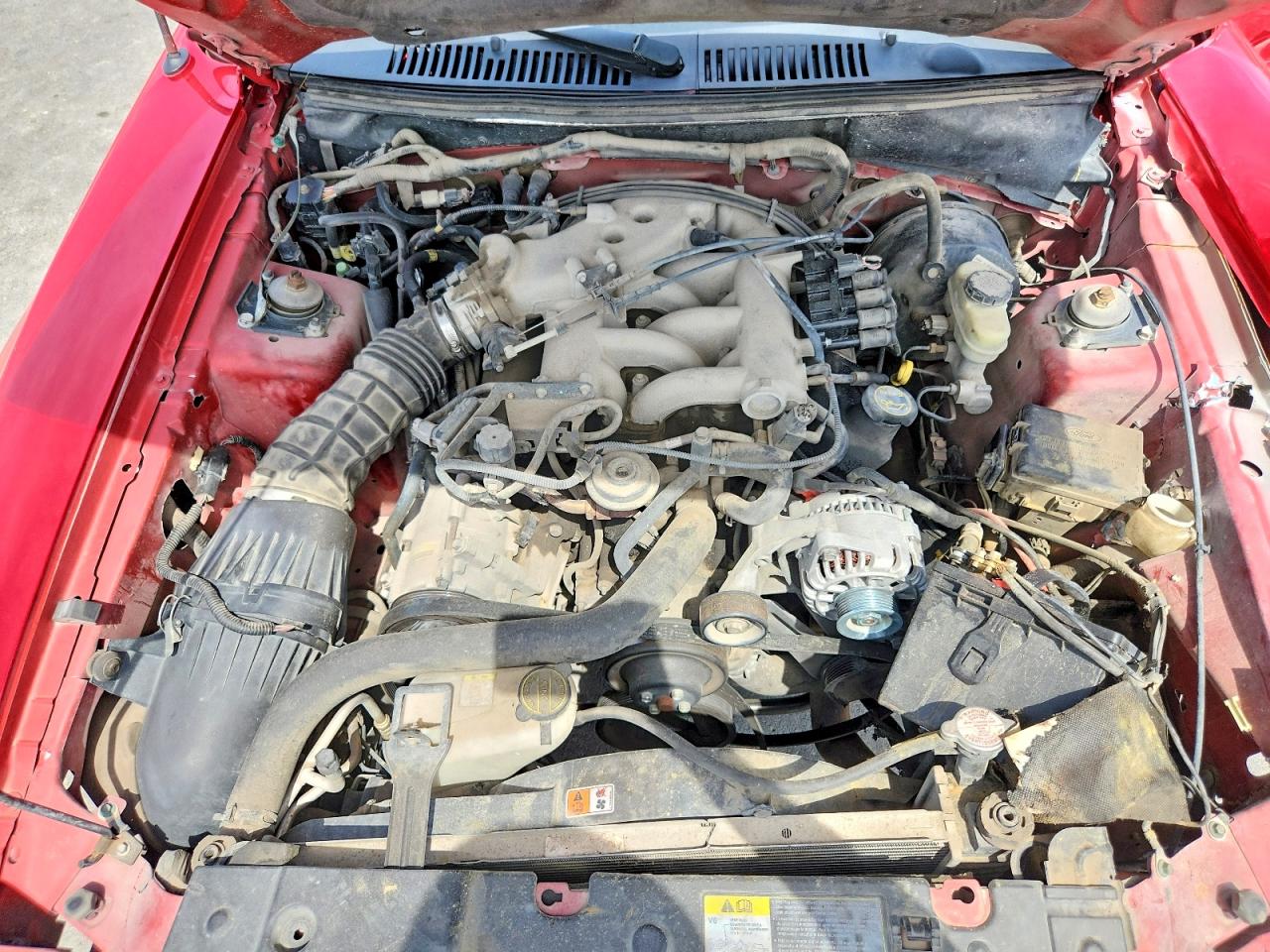 2004 Ford Mustang Red vin: 1FAFP40634F172615