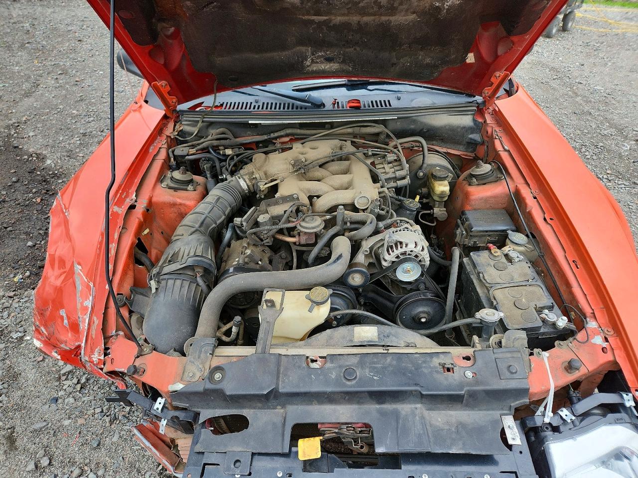 2004 Ford Mustang Orange vin: 1FAFP40654F173314