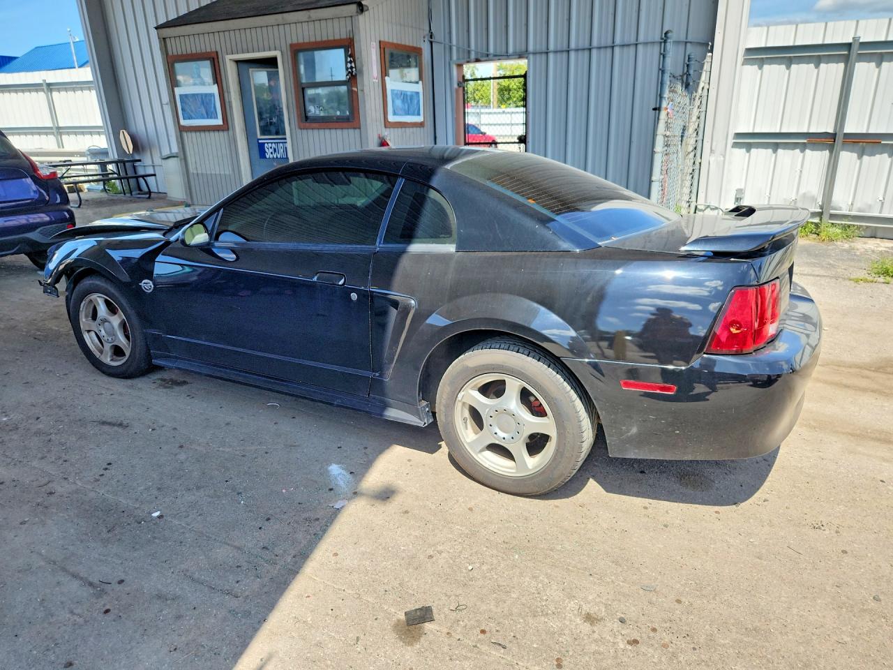 2004 Ford Mustang Black vin: 1FAFP40654F197970