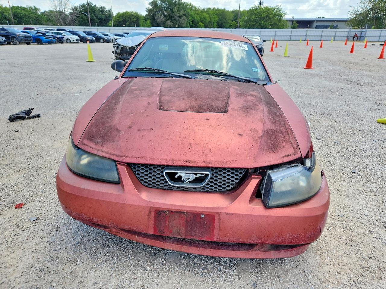2004 Ford Mustang Red vin: 1FAFP40664F204165