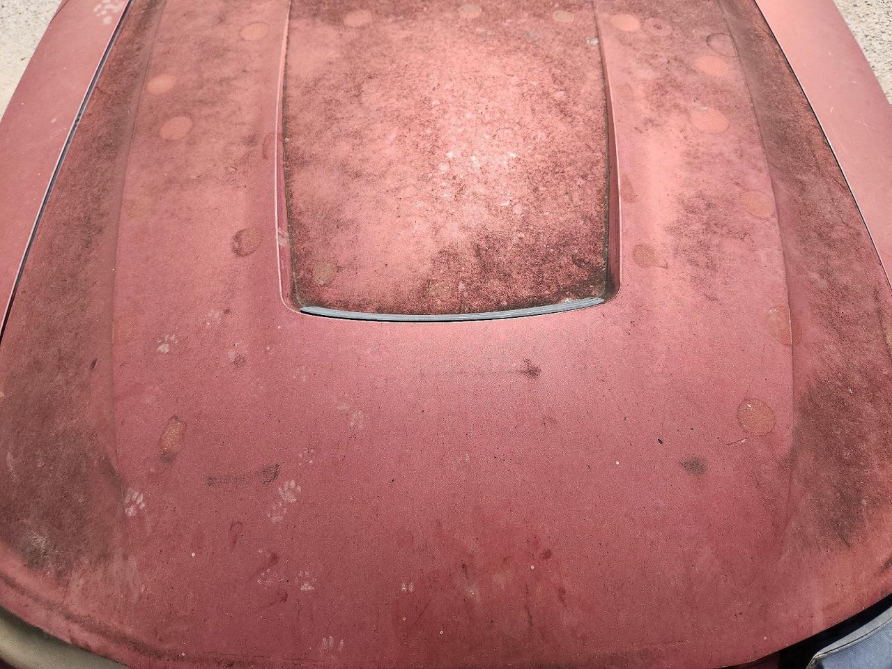 2004 Ford Mustang Red vin: 1FAFP40664F204165