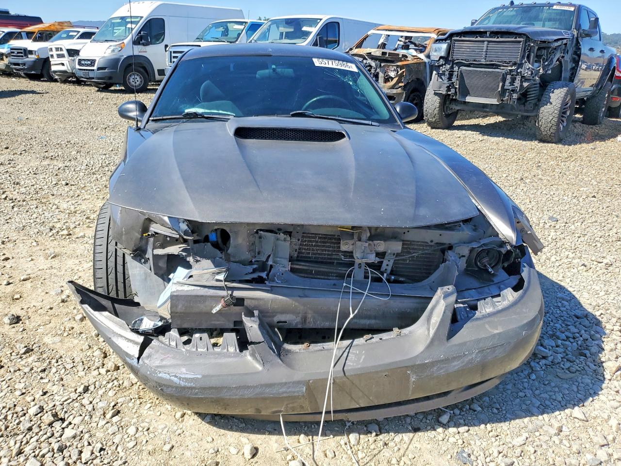 2004 Ford Mustang Gray vin: 1FAFP40664F212699