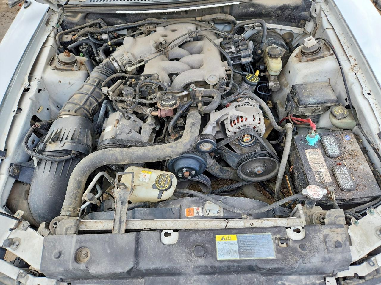 2004 Ford Mustang Белый vin: 1FAFP406X4F148182
