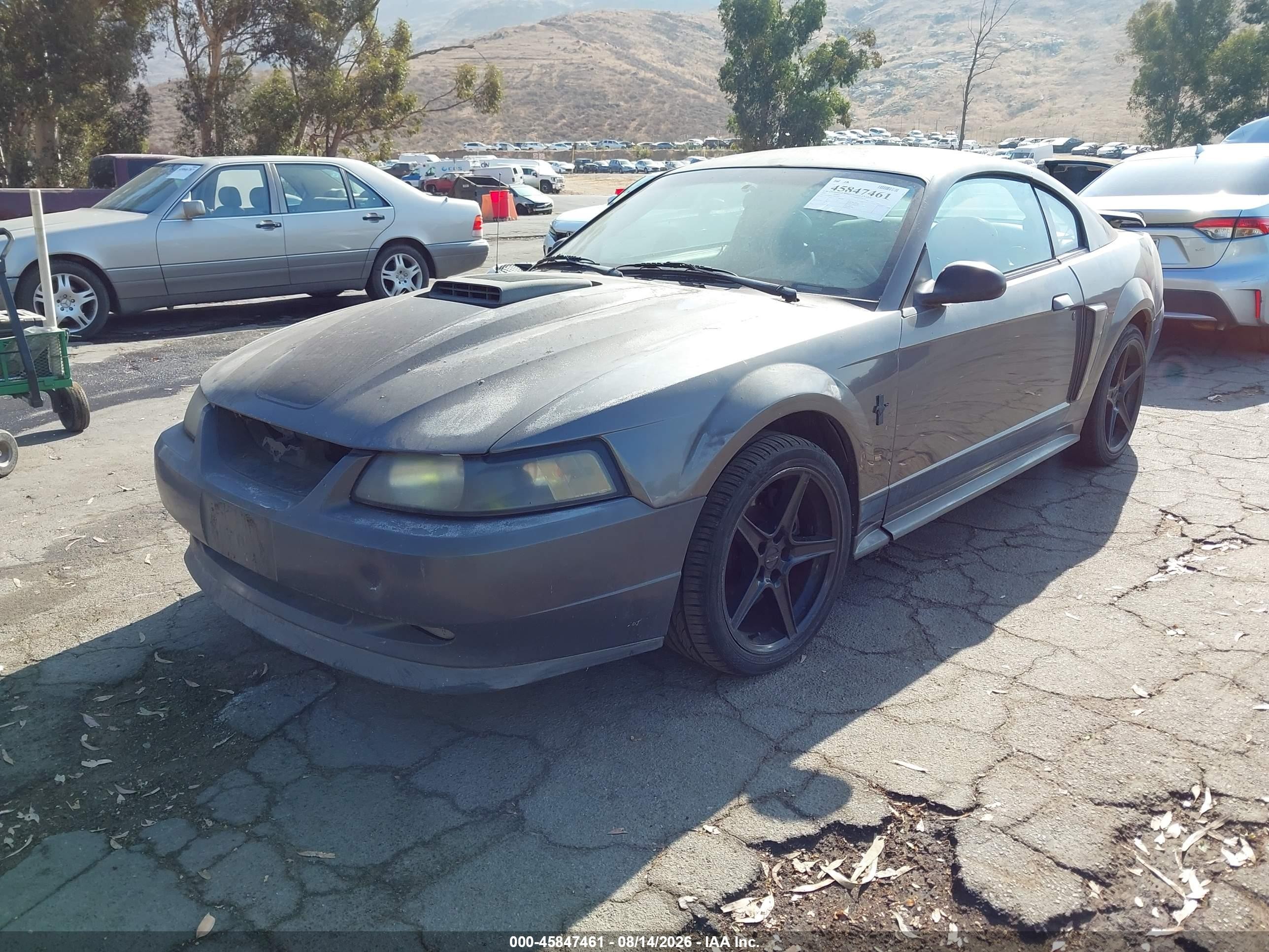 2003 Ford Mustang Mach 1 Gray vin: 1FAFP42R53F417582