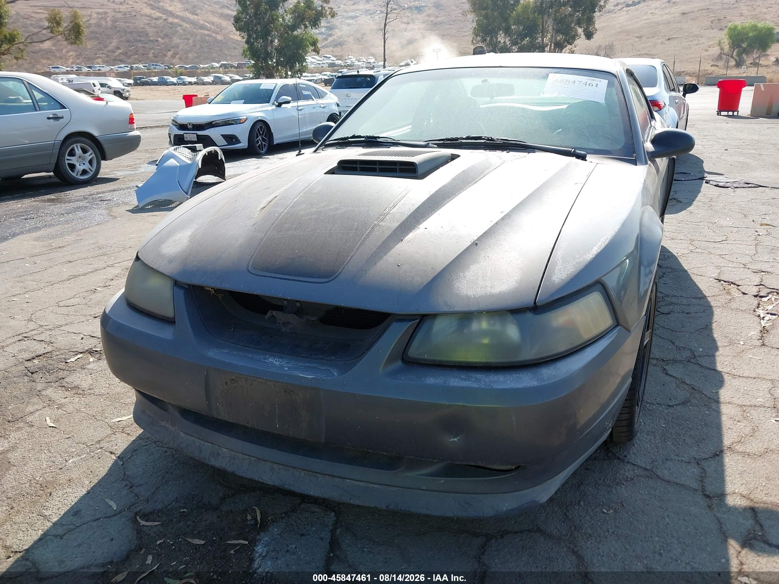 2003 Ford Mustang Mach 1 Gray vin: 1FAFP42R53F417582