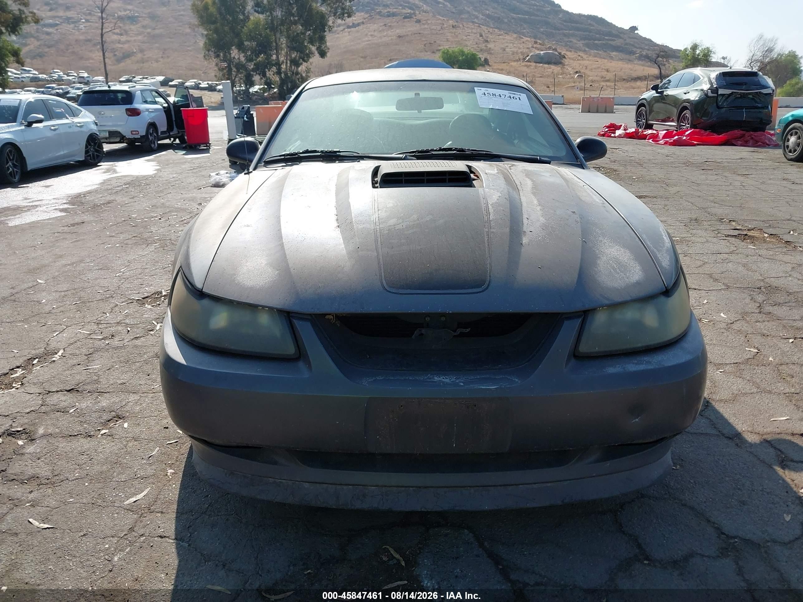 2003 Ford Mustang Mach 1 Gray vin: 1FAFP42R53F417582
