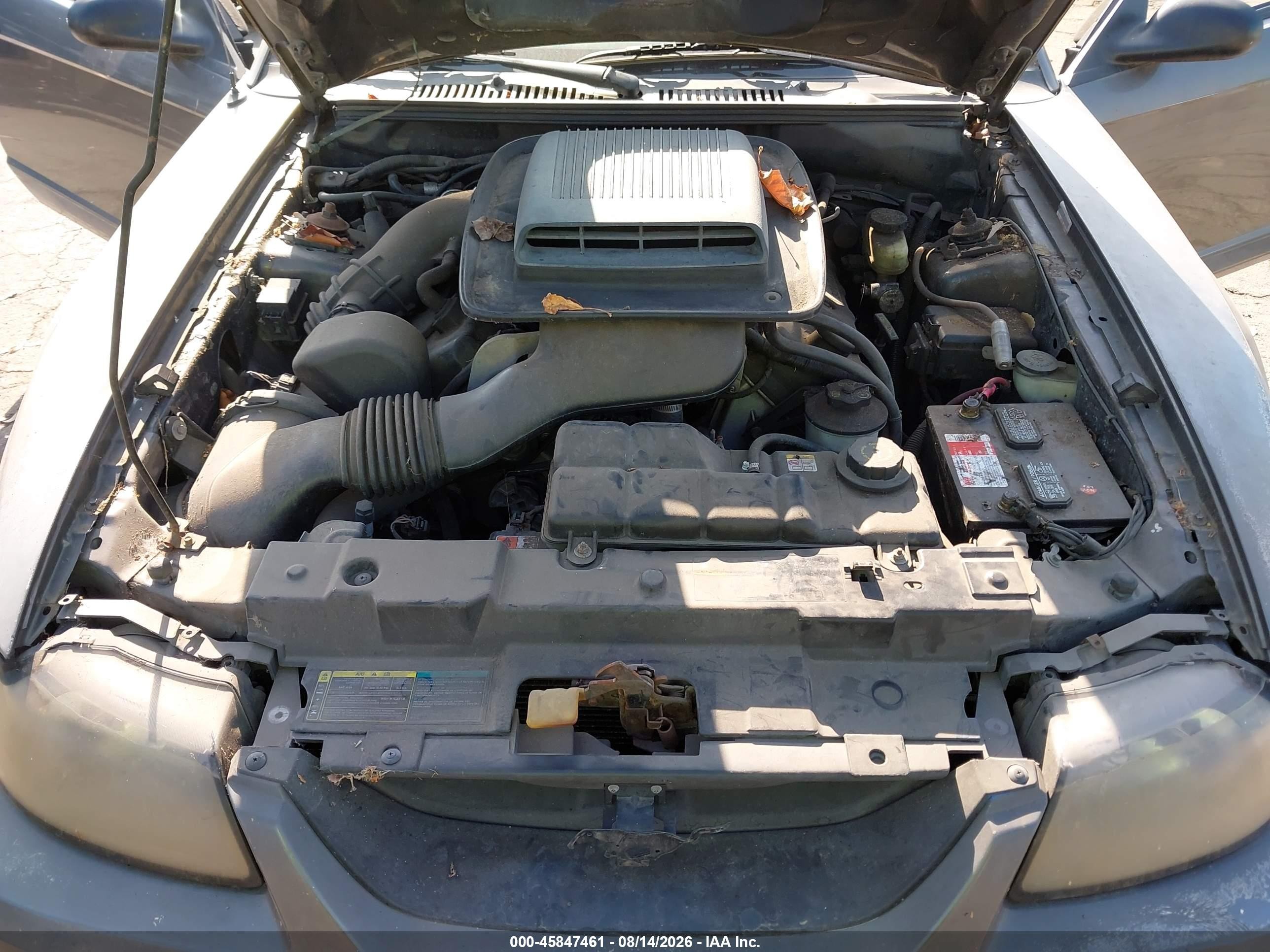 2003 Ford Mustang Mach 1 Gray vin: 1FAFP42R53F417582