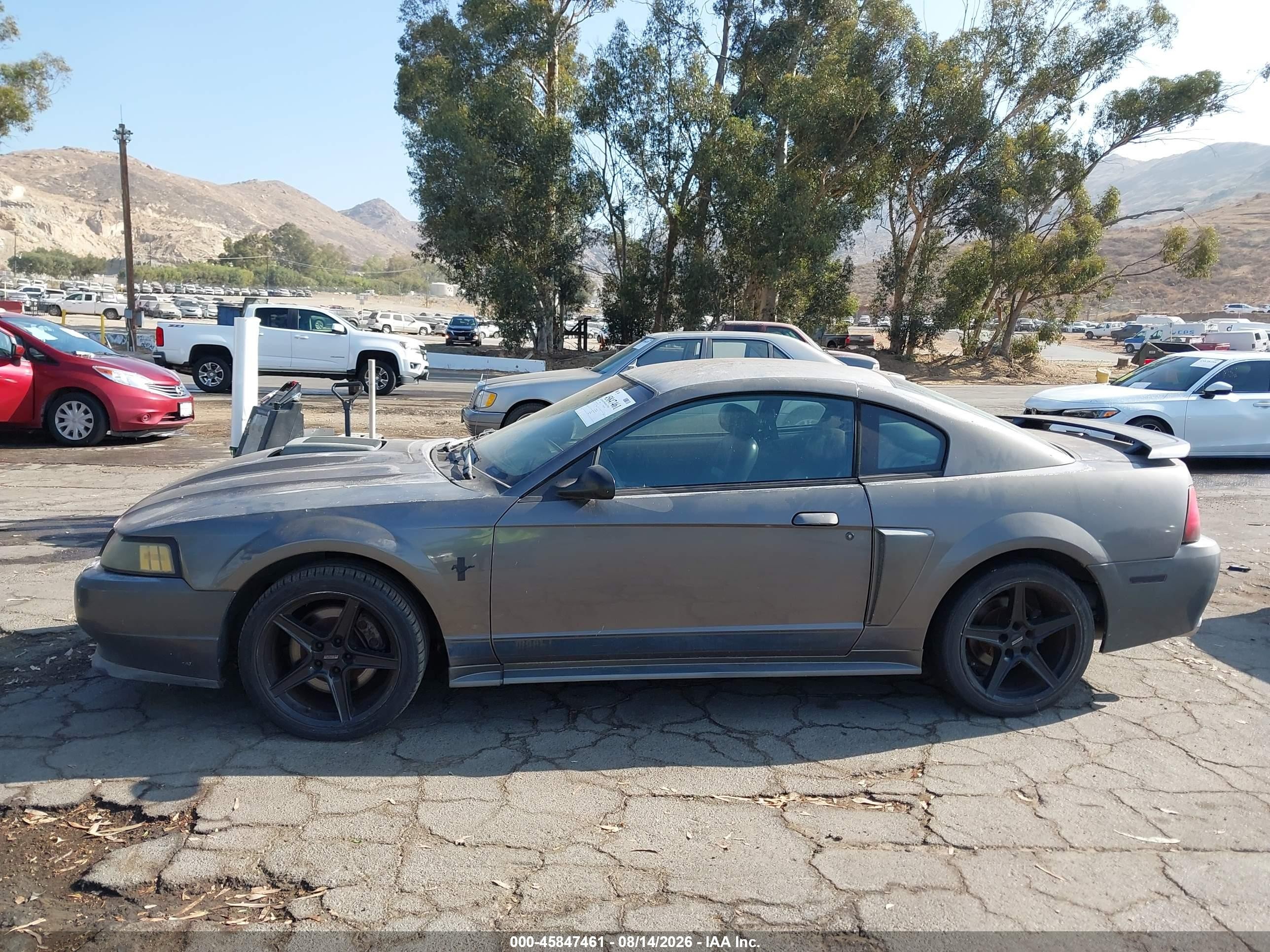 2003 Ford Mustang Mach 1 Gray vin: 1FAFP42R53F417582